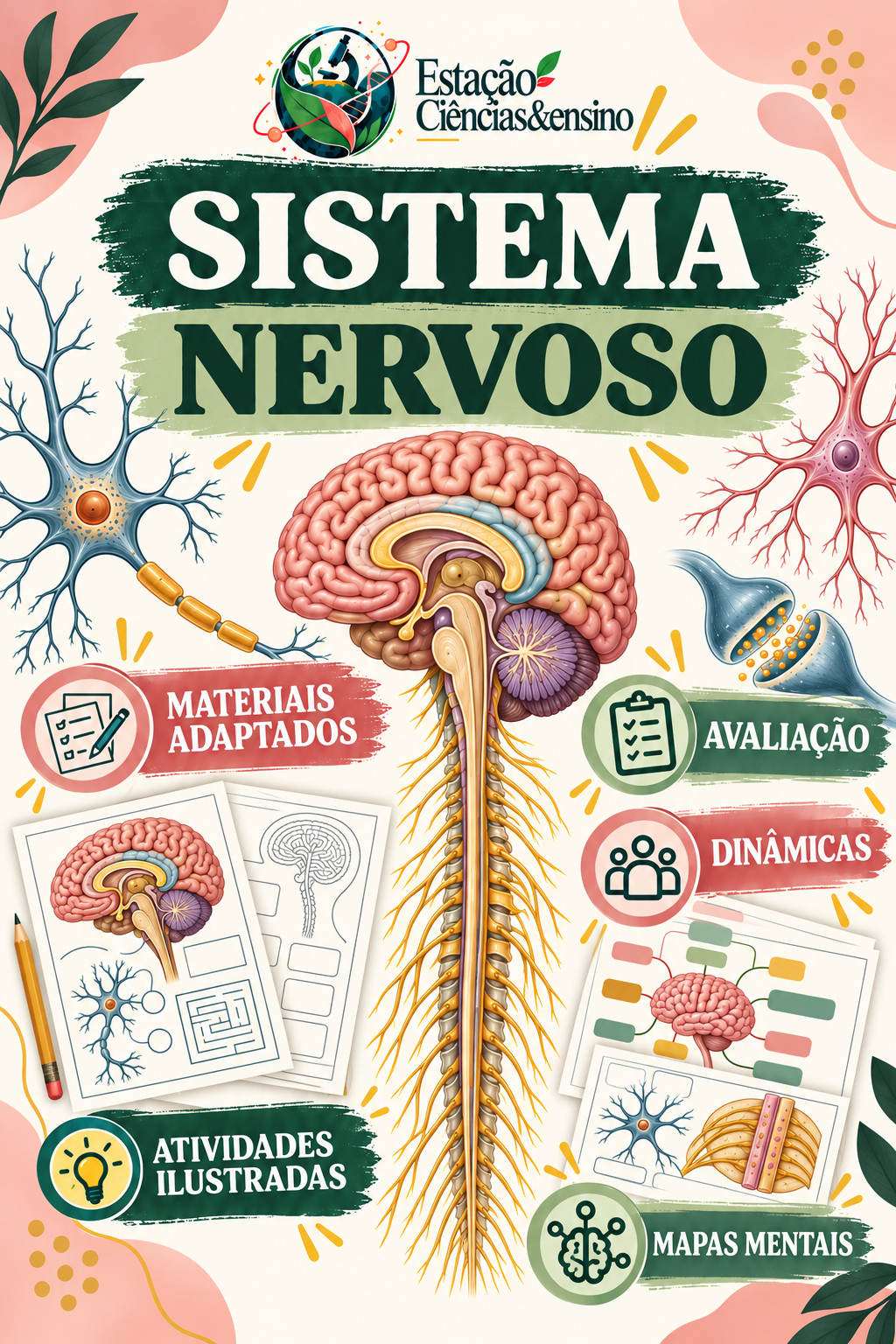 Capa de Sistema digestorio