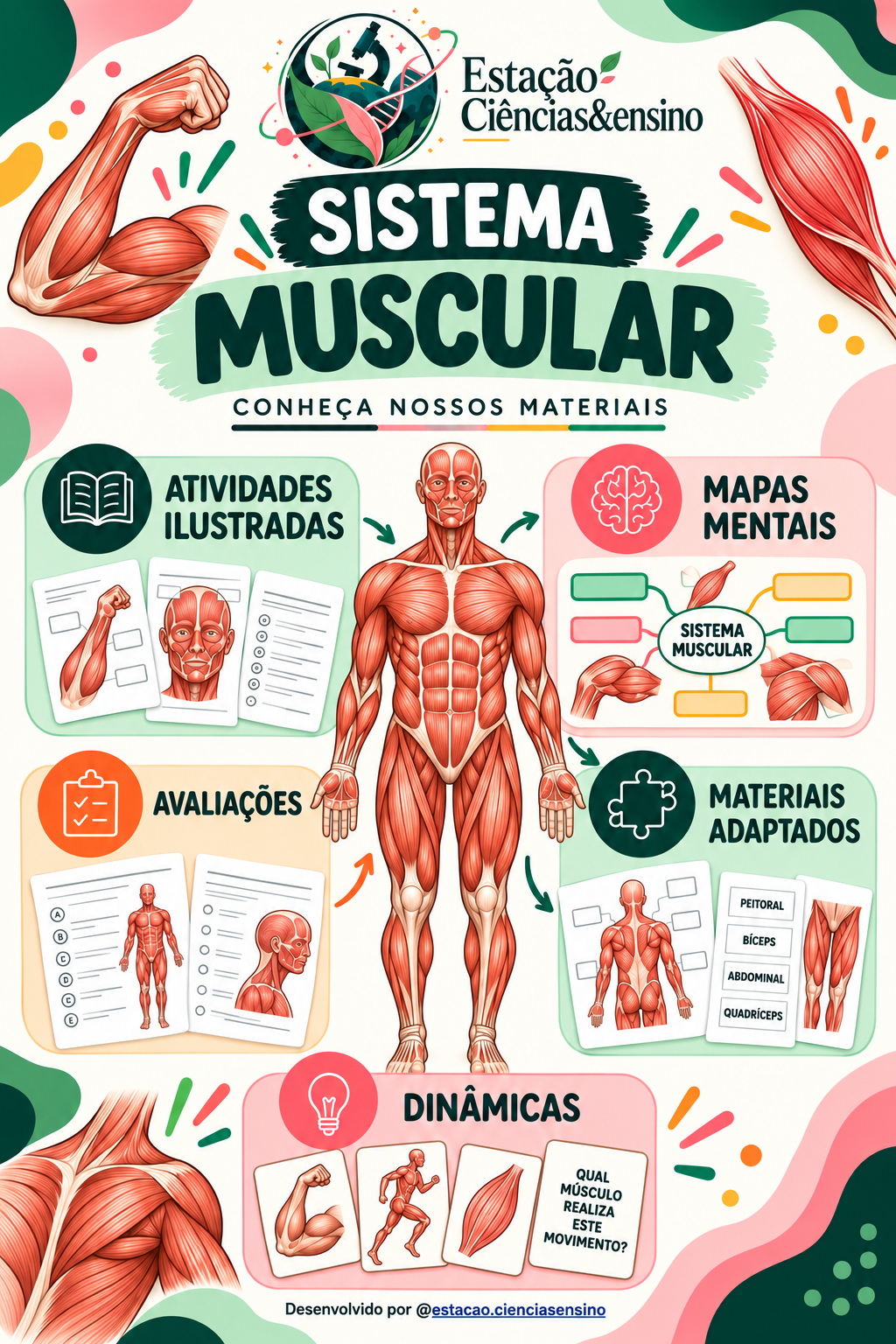 Capa de Sistema muscular